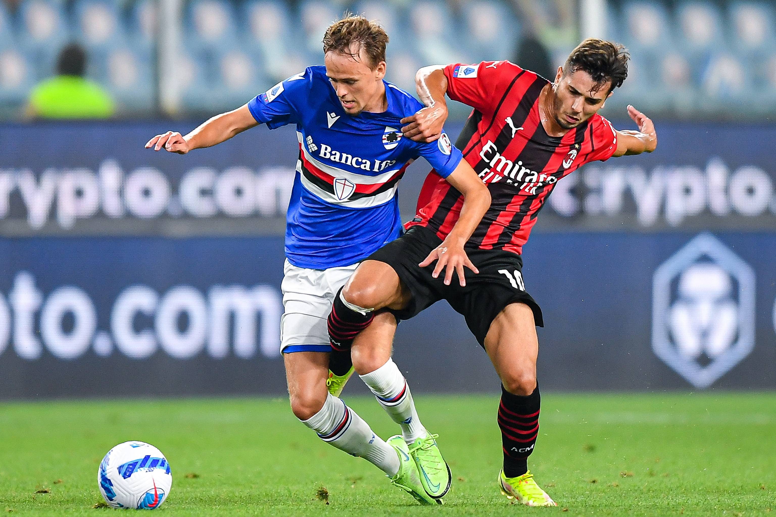 自己培养的 自己培养的